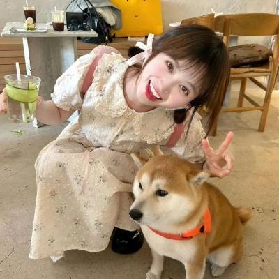 神犬小七第二季