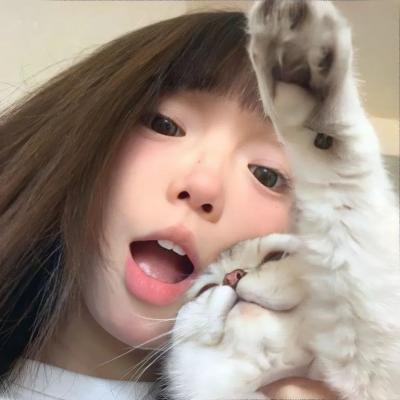 破产姐妹第二季